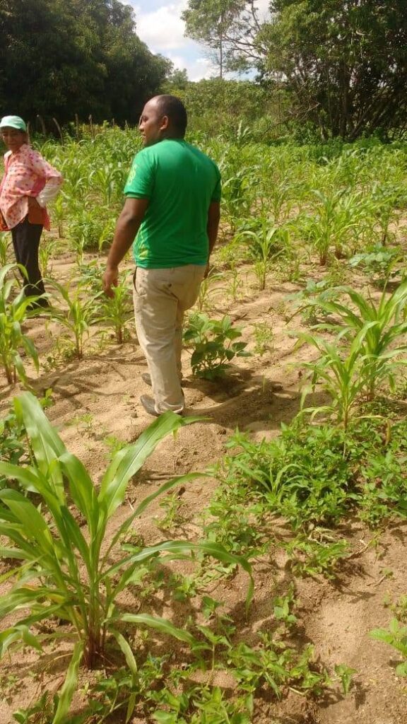 Agricultura familiar — visita de campo — acervo histórico do Instituto Sementes da Sustentabilidade