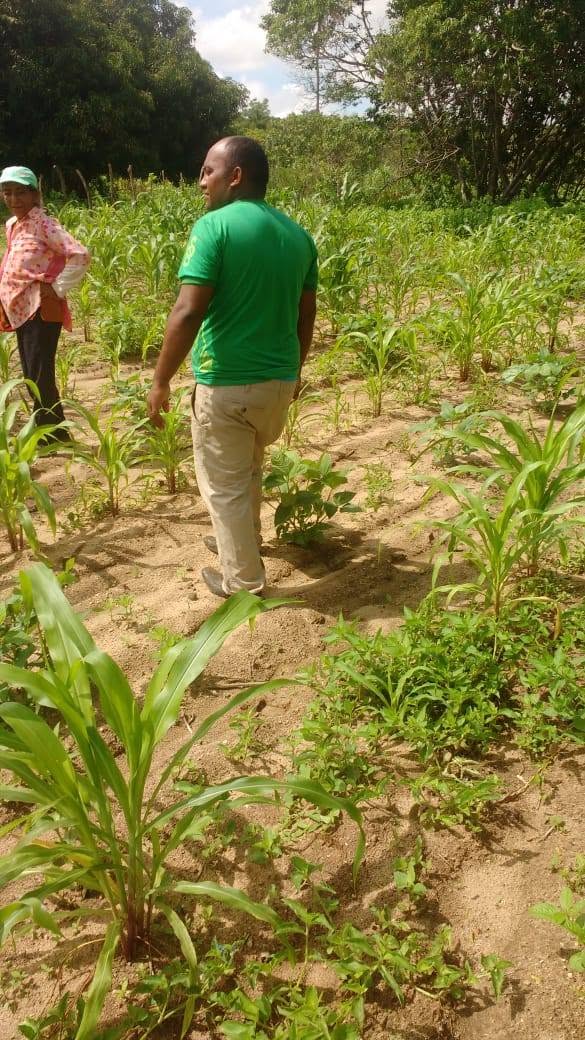 Agricultura familiar — visita de campo — acervo histórico do Instituto Sementes da Sustentabilidade